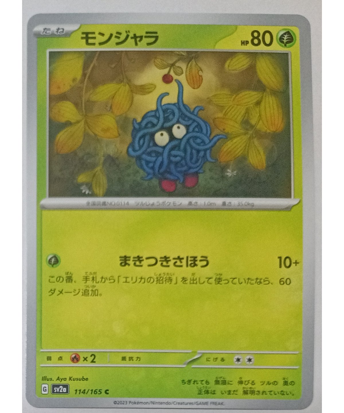 ポケモンカード モンジャラ 114/165 | ナムのショップ