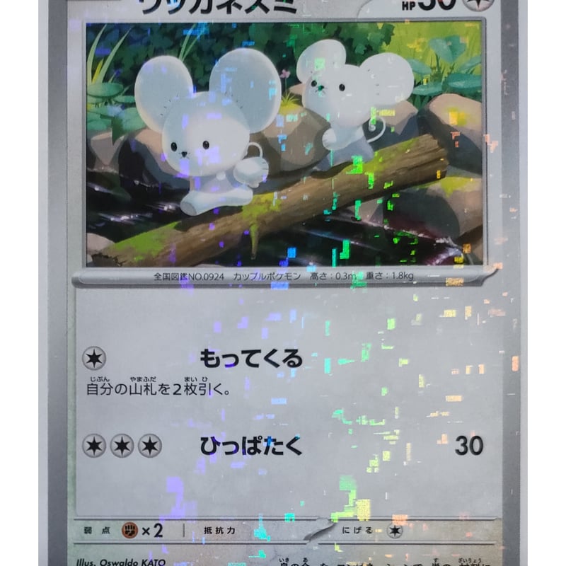 ポケモンカード ワッカネズミ キラ 152/190 | ナムのショップ