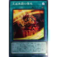 遊戯王 メガリス・ポータル IGAS-JP057 | なむのショップ