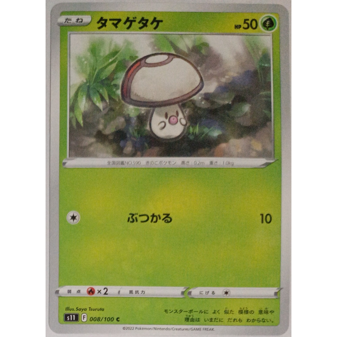ポケモンカード タマゲタケ 008/100 | ナムのショップ