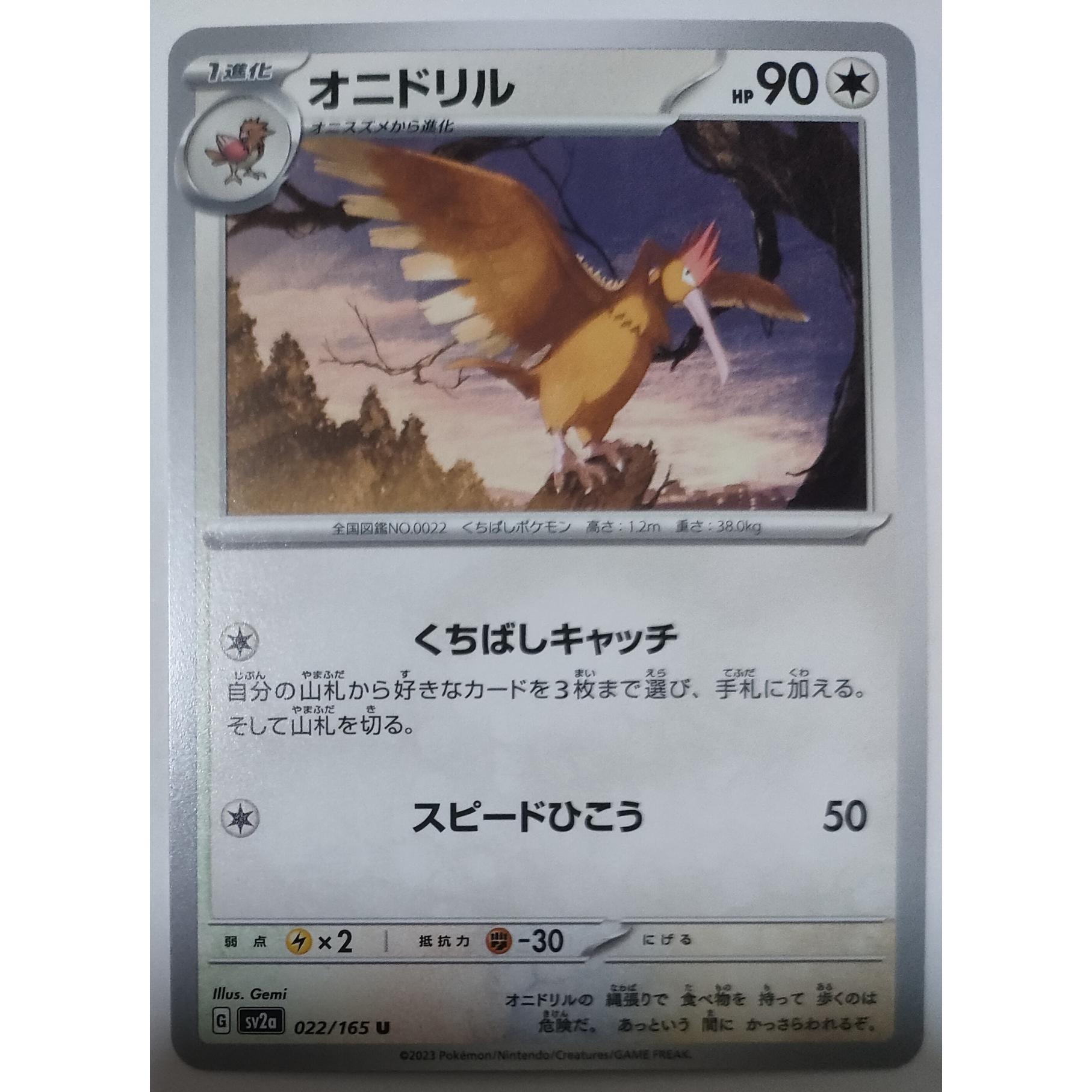 ポケモンカード オニドリル ノーマル 022/165 エクストラ対応 | なむの