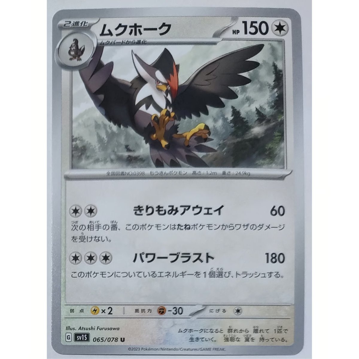 22枚セット】海外ポケモンカード2008年ドラピオンムクホークなど
