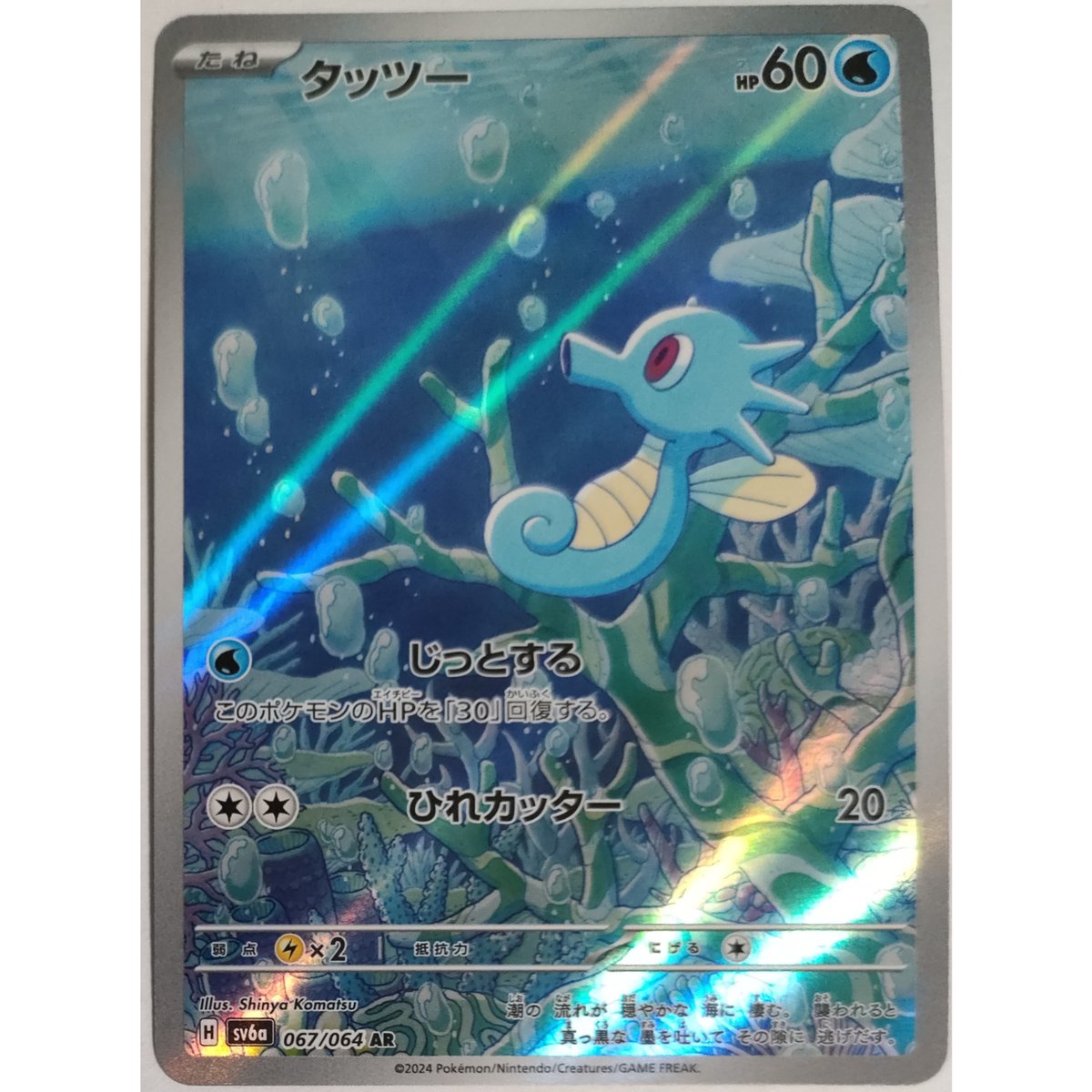 ポケモンカード タッツー 067/064 AR | ナムのショップ