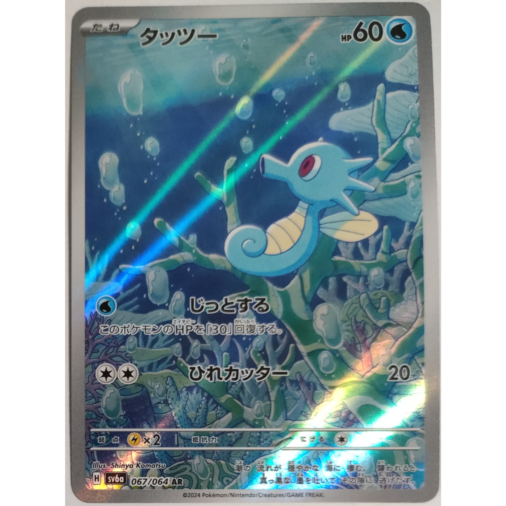 ポケモンカード タッツー 067/064 AR | なむのショップ