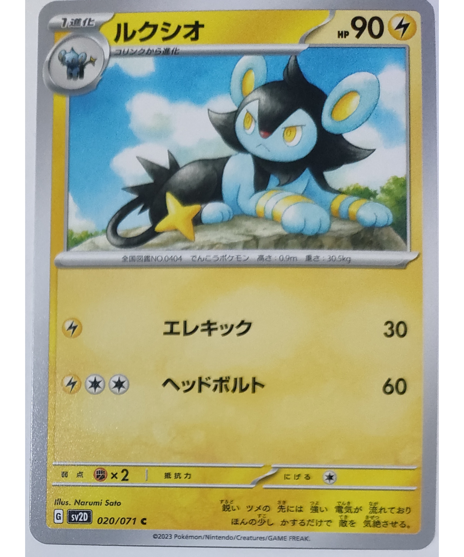 ポケモンカード ルクシオ 020/071 | なむのショップ