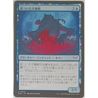 MTG 基本土地 沼 | なむのショップ
