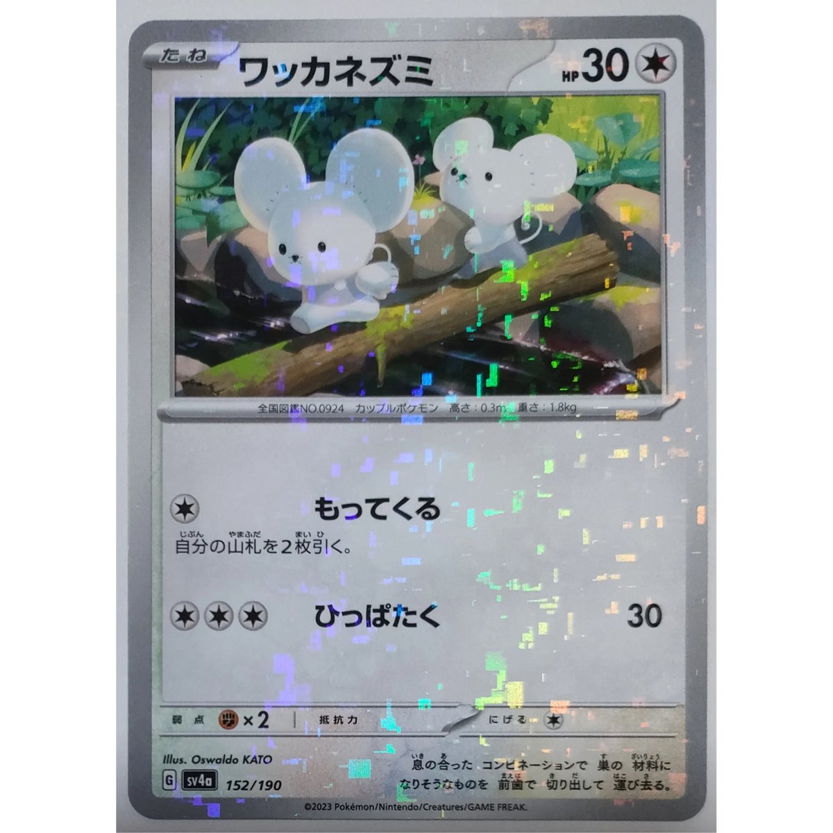 ポケモンカード ワッカネズミ キラ 152/190 | ナムのショップ