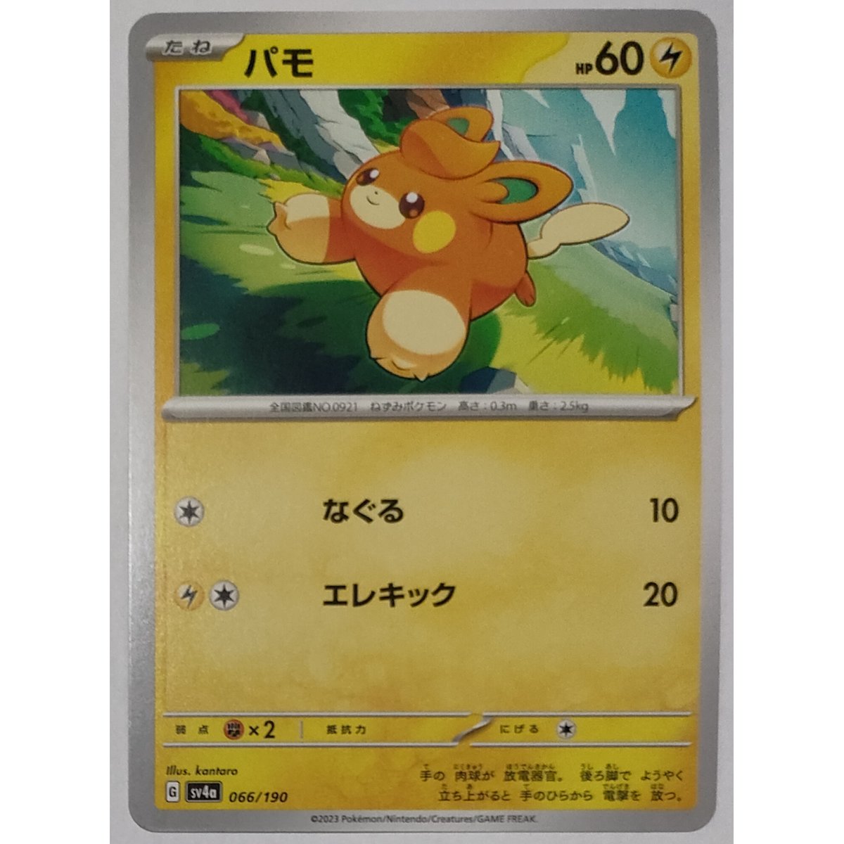 ポケモンカード パモ ノーマル 066/190 | ナムのショップ ポケモンカード パモ ノーマル 066/190 | ナムのショップ