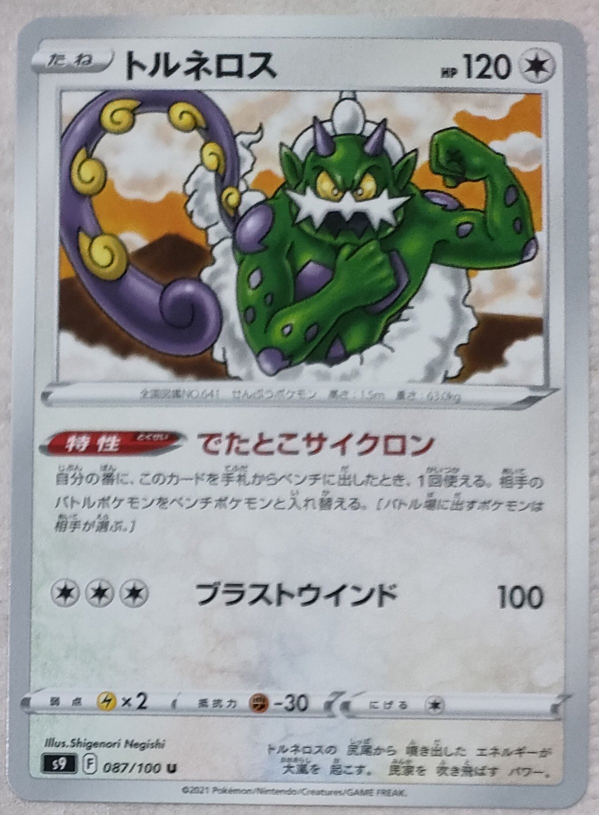 ポケモンカード トルネロス 087/100 | ナムのショップ