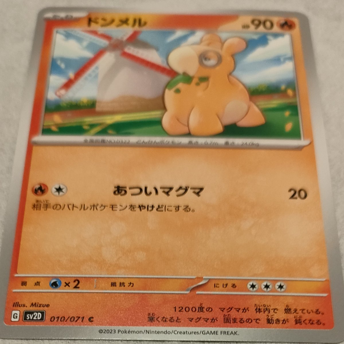 ポケモンカード ドンメル 010/071 | ナムのショップ