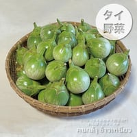 マクアポ　タイナスB品19kg タイなす苗】マクアポ接木苗 【赤毛農園の野菜苗】