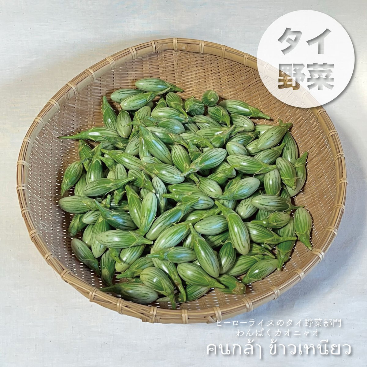 マクアポ　タイナスB品19kg マクアポ（タイなす）1kg：静岡県産のその他ナス｜食べチョク