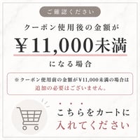 クーポン使用後¥11000未満の金額の際は、こちらをカートにお願い致します。