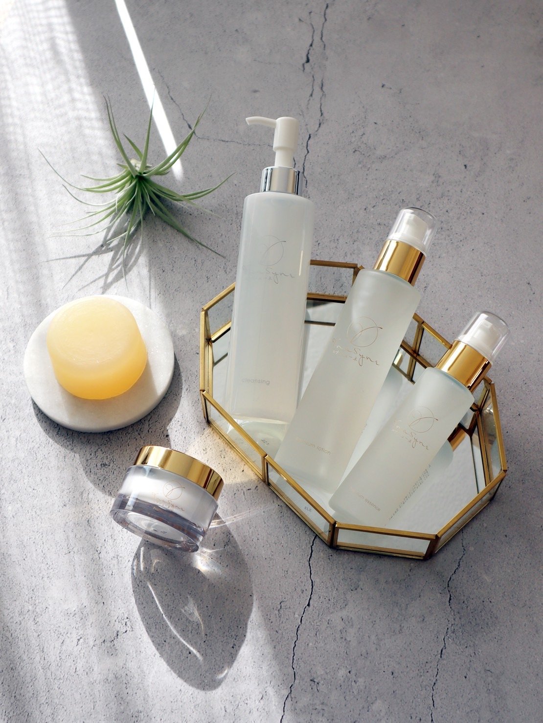 1セット購入特典有り【プレミアムシリーズ基礎化粧品1セット