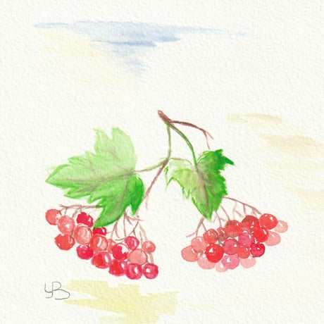 ポストカード（2枚セット）