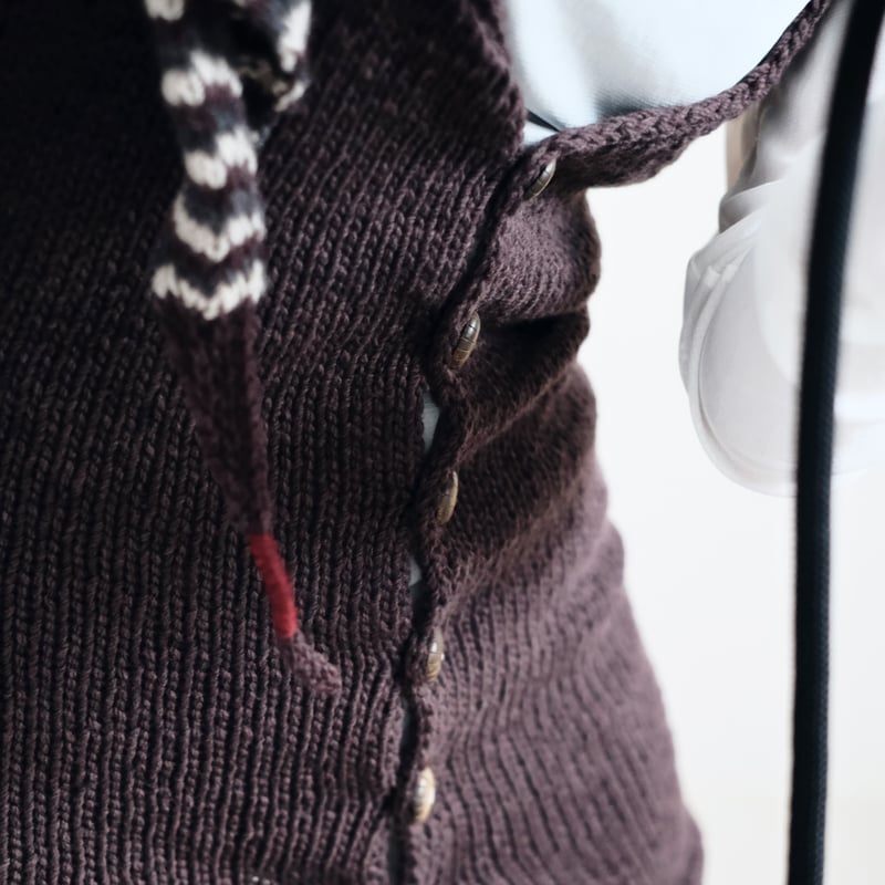 AINA【PDF knitting pattern】Japanese ver. | issue