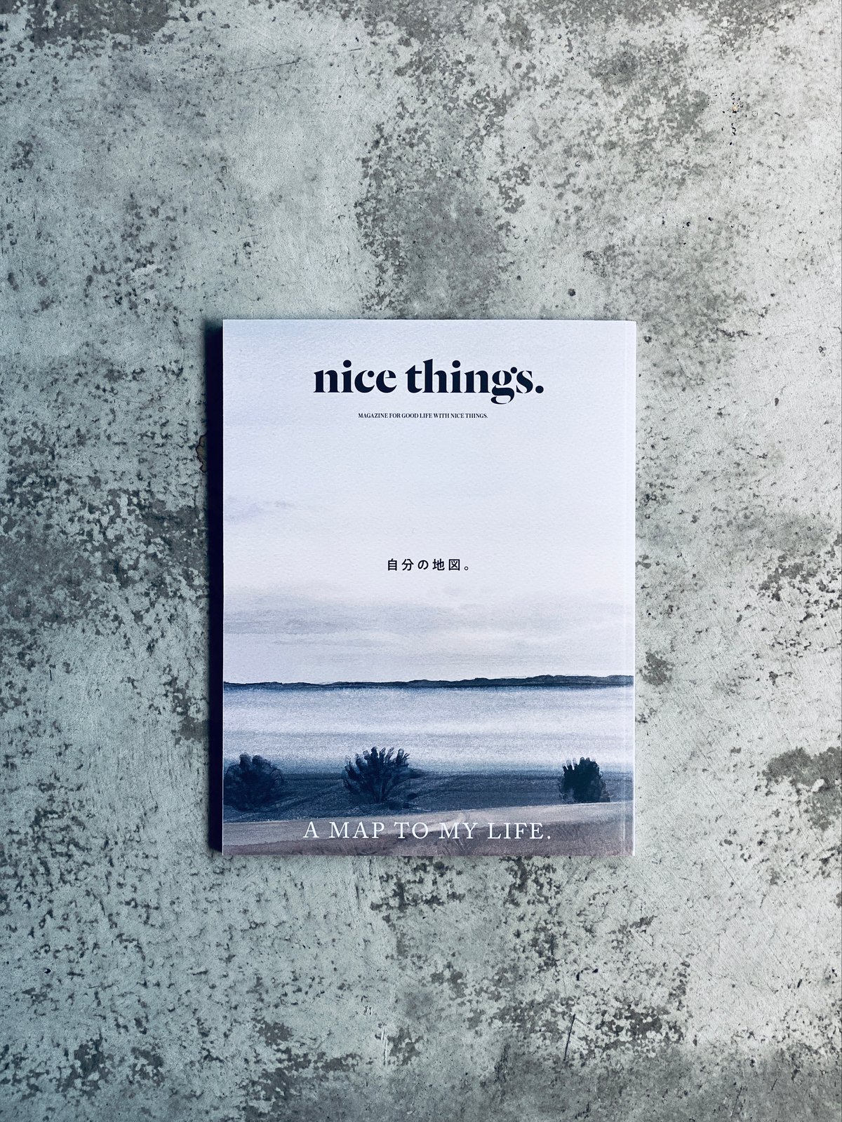 nice things 60冊 ※要確認 nice things 60冊 ※要確認 nice things. issue.79 -の商品詳細 | 蔦