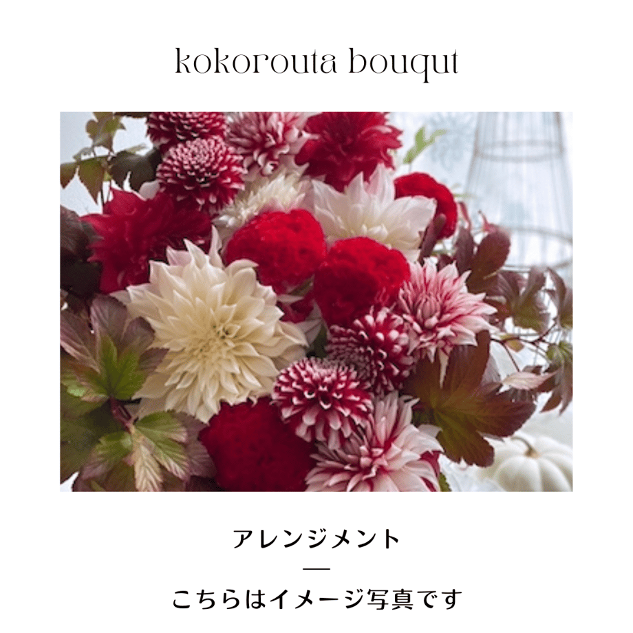 63fdbb45e2f3b605a2969a2f