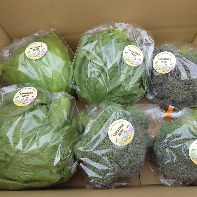 そのときの野菜詰め合わせ1000円分 | YAMATARO FARM STORE