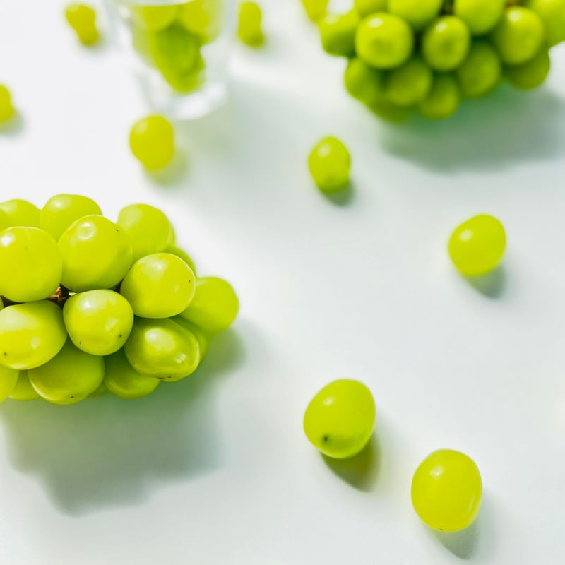 葡萄の呟き 『ぶどうのつぶやき』 mmtr001.jpg