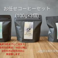 300g　お任せコーヒーセット(100g×3) ¥3,000