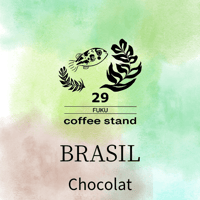 ブラジルショコラ　シティロースト100g