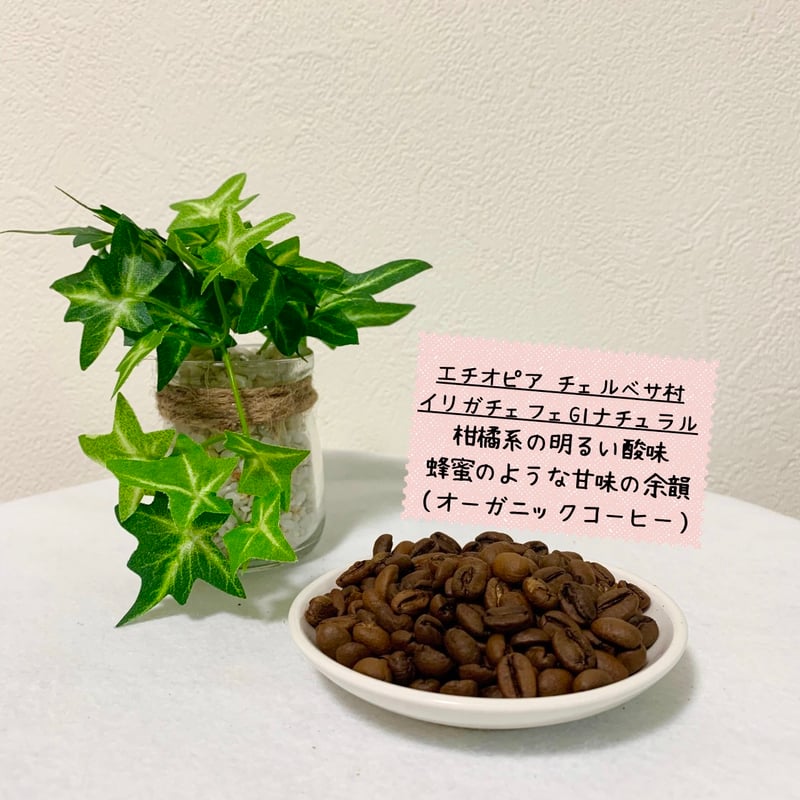【格安】コーヒー生豆 エチオピア イルガチャフェ チェルベサ G1 N 10kg 格安】コーヒー生豆 エチオピア イルガチャフェ チェルベサ G1 N