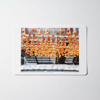 写真 [ Making dried persimmons, Nov. 2023 ] ポストカードサイズ(15x10)  のコピー