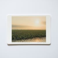 写真 [ Izunuma, Summer morning Aug. 2021 ] ポストカードサイズ(15x10)
