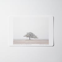 写真 [Shape of snowstorm, Jan. 2023 ] ポストカードサイズ(15x10)