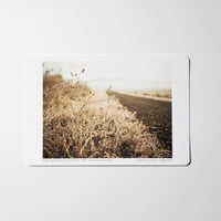 写真 [ Frost makes everyone a star, Dec. 2022 ] ポストカードサイズ(15x10)