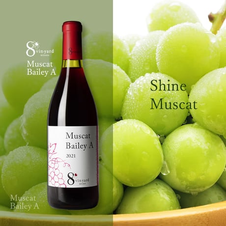 CATEGORY シャインマスカットセット | 8 vin-yard MISAKA