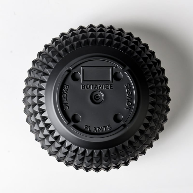 BOTANIZE PLA POT BOWL STUDS “Black” MEDIUM size