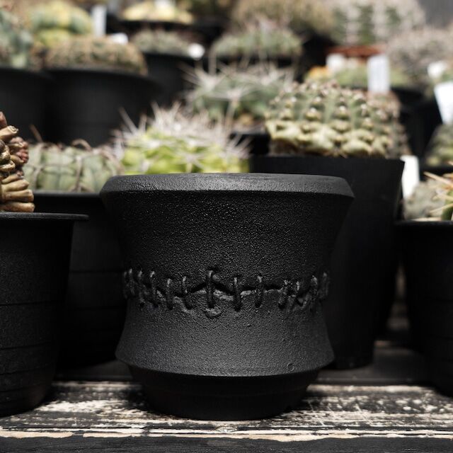 D.I.P pot 鉢 (A) D.I.P.FUKUOKA 別注鉢 | WHNURSERY