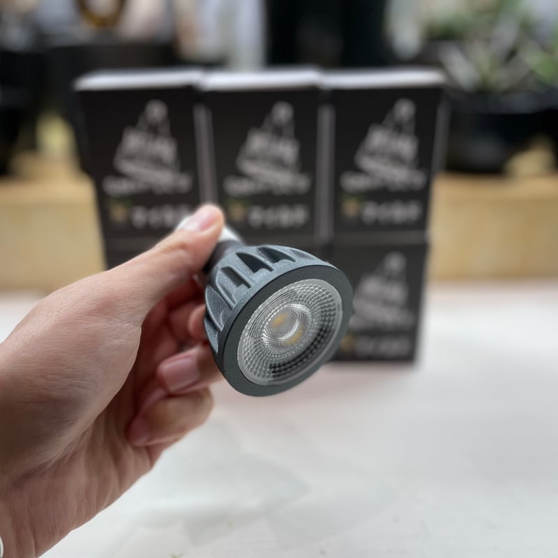 Helios Green LED HG10 マイルド 【BK】 | W&Co. Helios Green LED HG10 マイルド 【BK】 | W&Co.