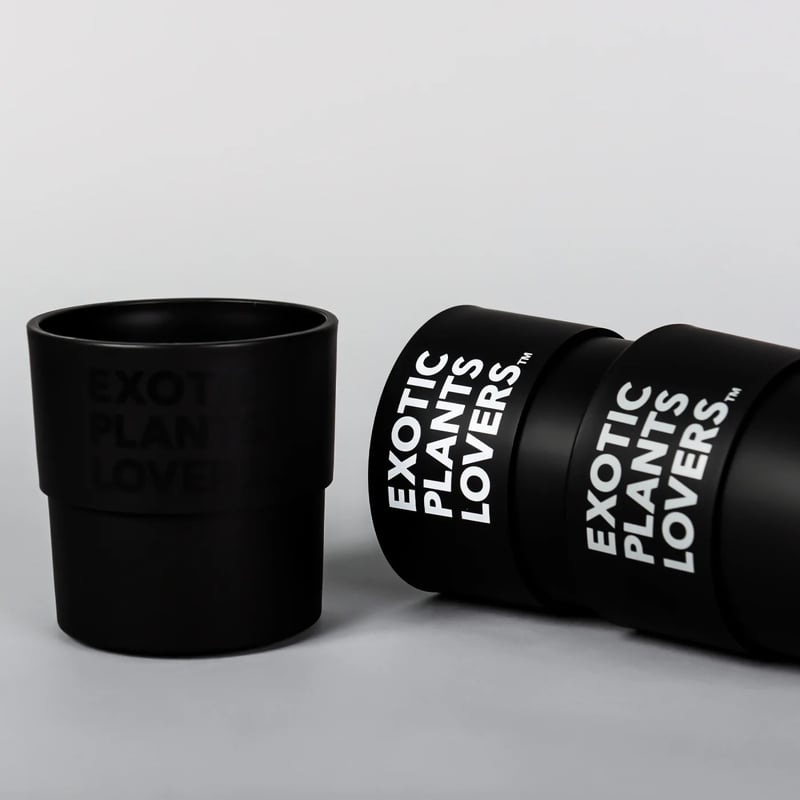 BOTANIZE BANKSY 鉢　プラスチック　希少 BOTANIZE BANKSY 鉢 プラスチック 希少 鉢・プランター