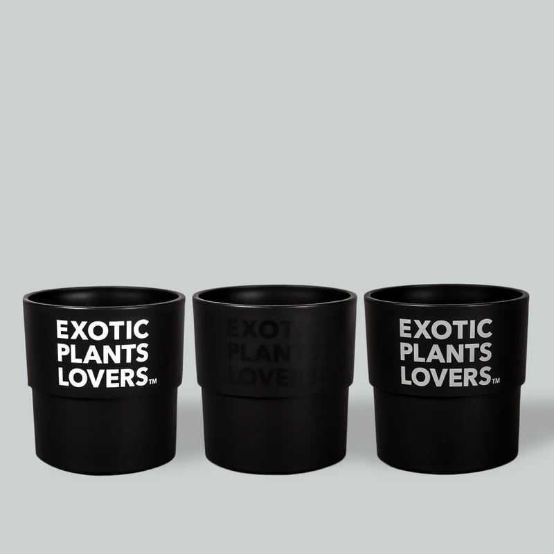 BOTANIZE PLA POT EXOTIC PLANTS LOVERS 3pcs【1SET