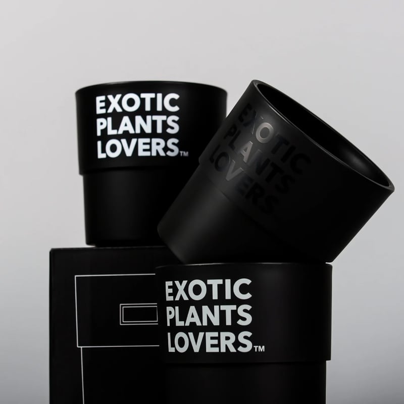 banksy × botanize プラ鉢 BOTANIZE PLA POT EXOTIC PLANTS LOVERS 3pcs【1SET
