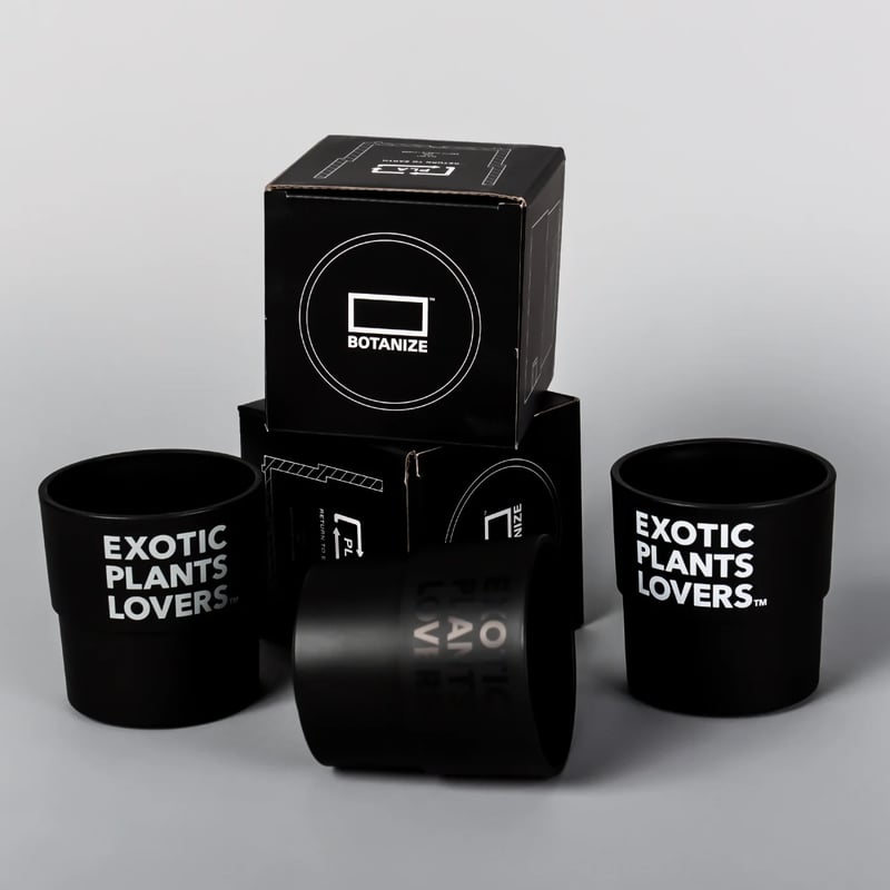 BOTANIZE PLA POT EXOTIC PLANTS LOVERS 3pcs【1SET