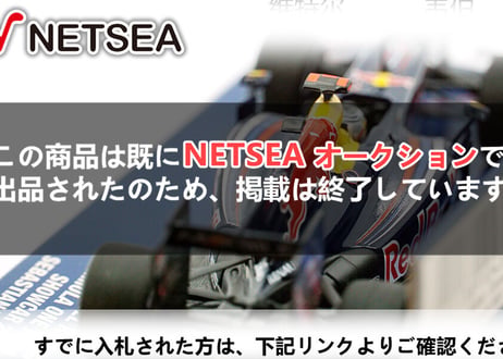 Minichamps/ RedBull RB6 Showcar Germany 2010 ミニカー 新品