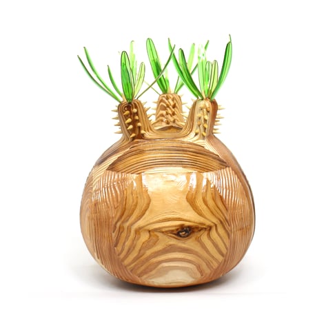 観葉植物　コーデックス　グラキリス　アガベ　オベサ　爬虫類　フィギュア フェイクグリーン 3D フィギュア パキポディウム グラキリス Overgrow
