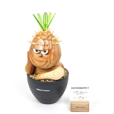 パキポディウムグラキリス | STORES