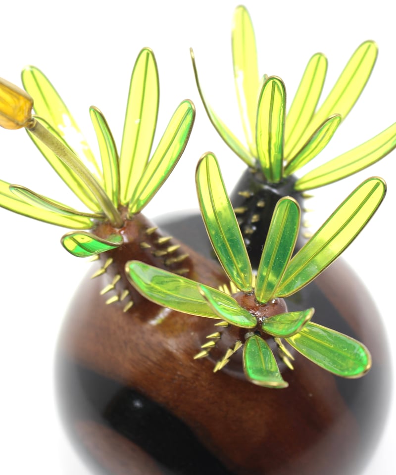 グラキリス 現地球 黒檀 | ONEDAY.factory