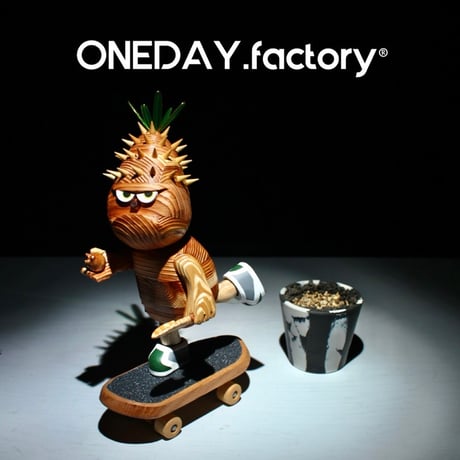 パキポディウムグラキリス | STORES