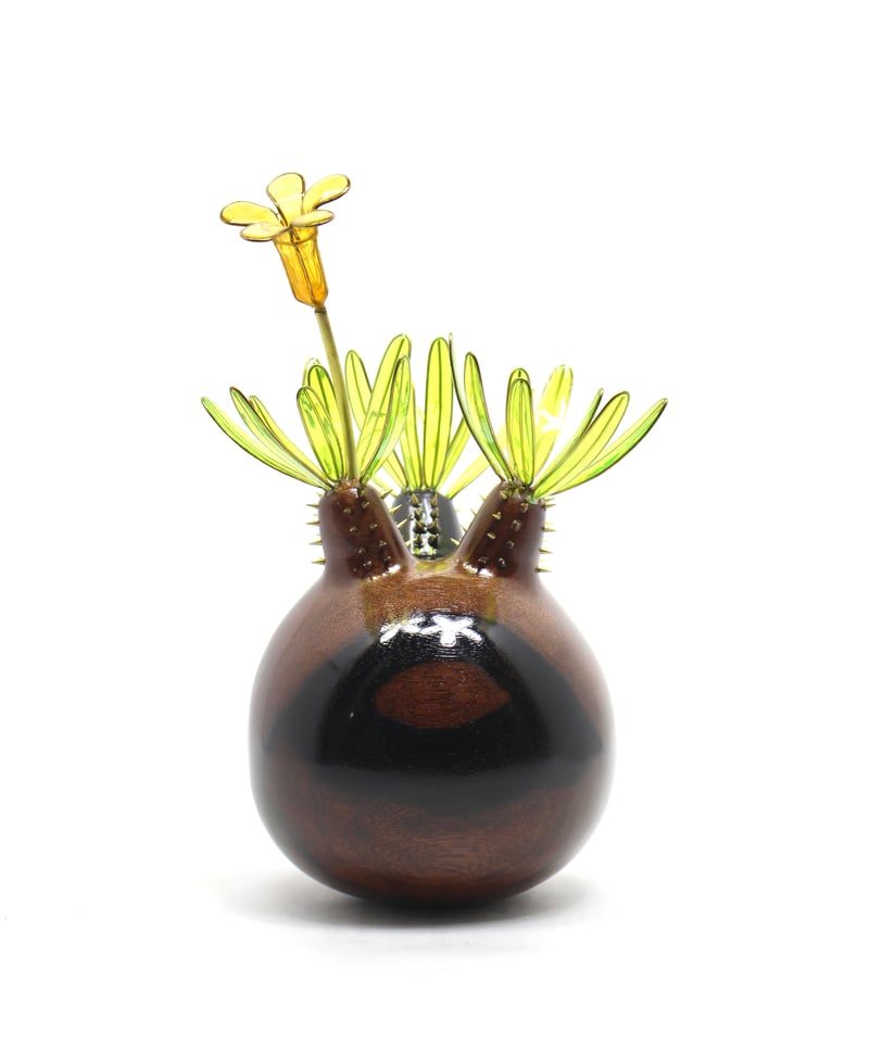 グラキリス　中　現地球 グラキリス 現地球 黒檀 | ONEDAY.factory