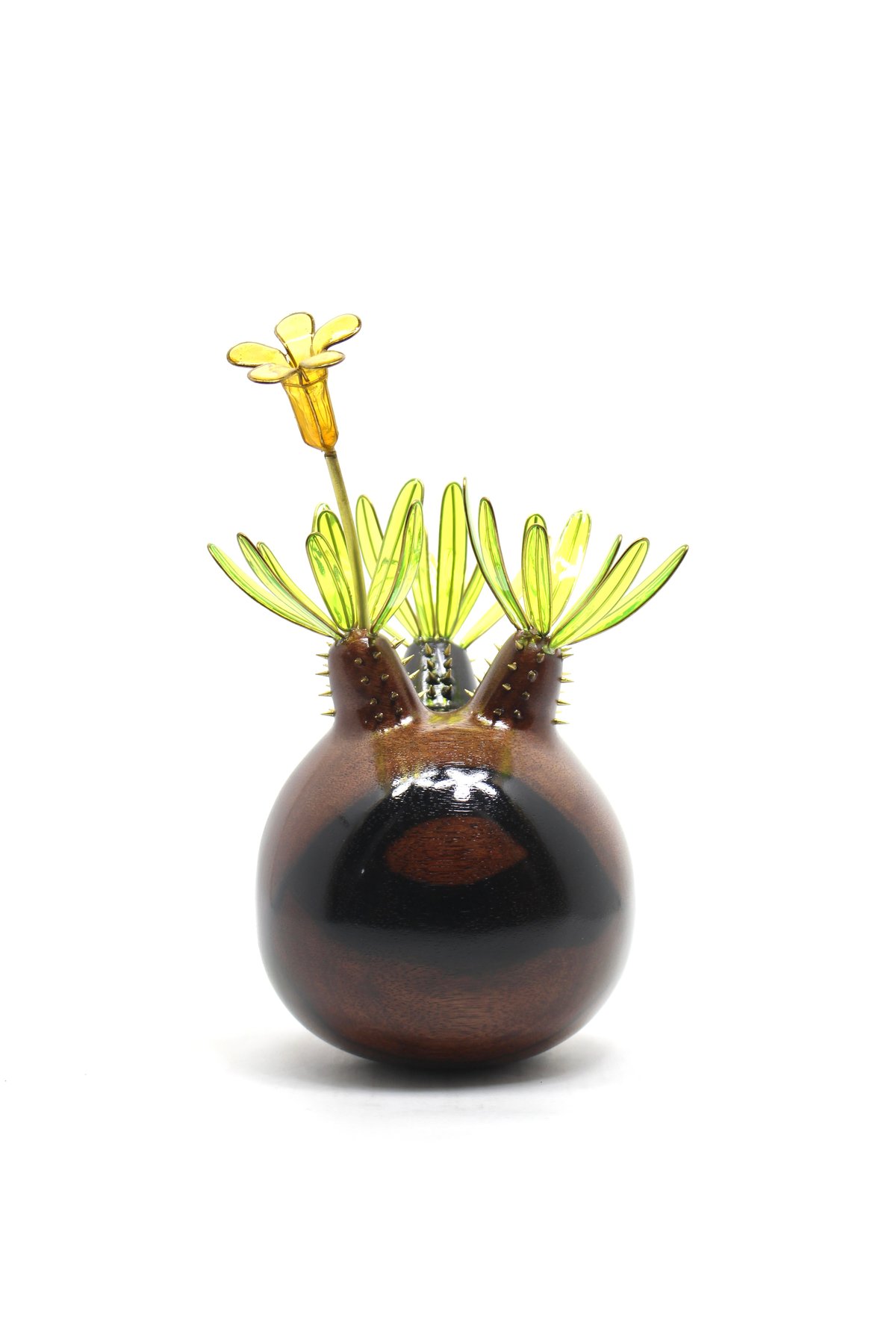 グラキリス 現地球 黒檀 | ONEDAY.factory