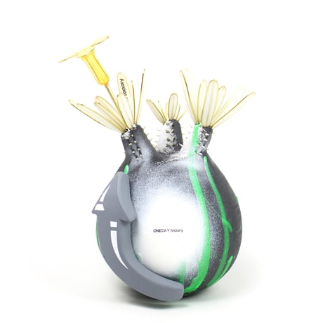 パキポディウムグラキリス | STORES