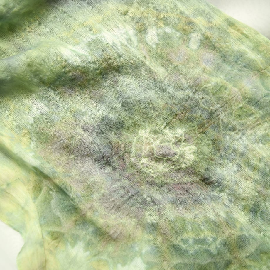 6479e6971886eb003aa381e4