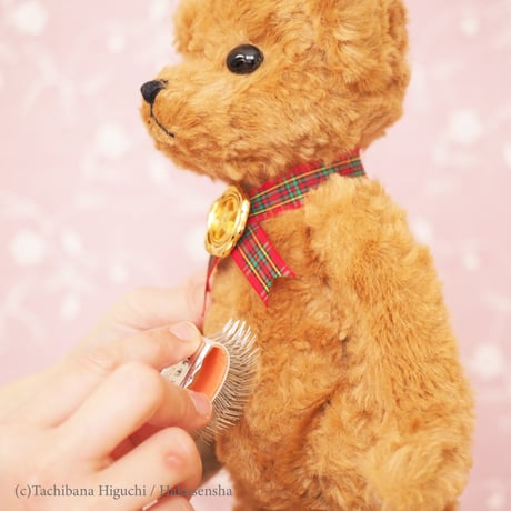 Gakuen Alice collaboration Canned Brush RED/BROWN 学園アリスコラボ 缶入りブラシ 赤/茶