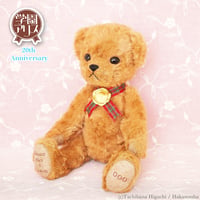 Gakuen Alice collaboration Mr. Bear stuffed animal NEW Ver.　学園アリスコラボMrベアぬいぐるみ 新版